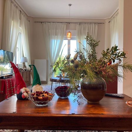 Brina'S Luxury Apartments Ájoi Apósztoli Kültér fotó